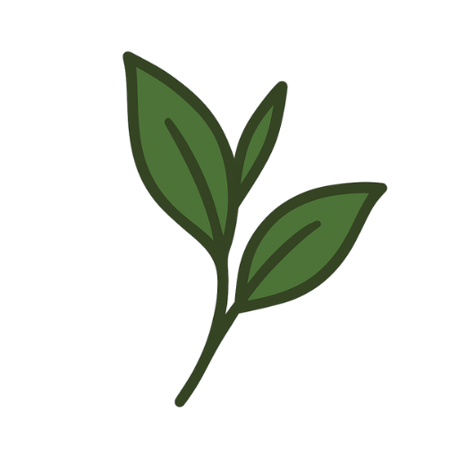 Feuille de thé